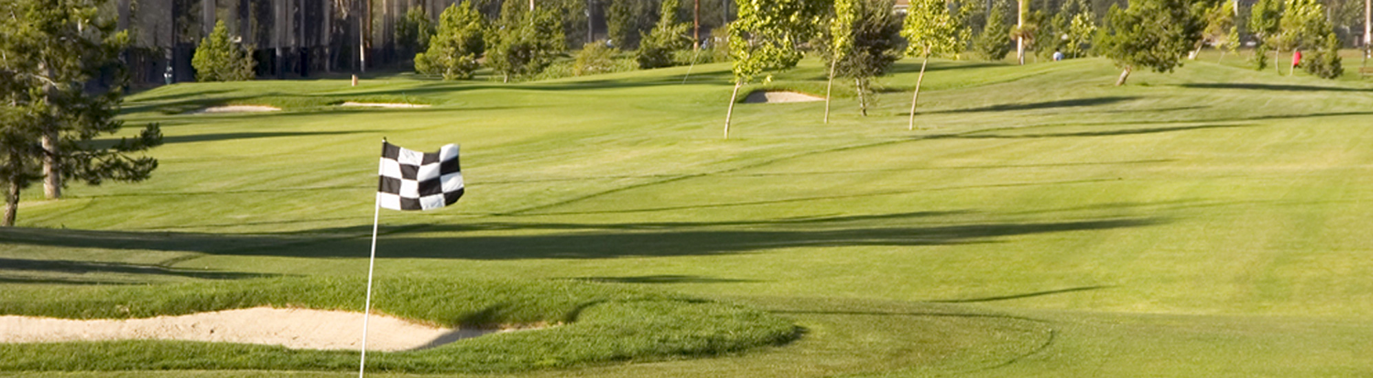 Discover the lush greens and scenic beauty of San Jose's premier public golf courses.