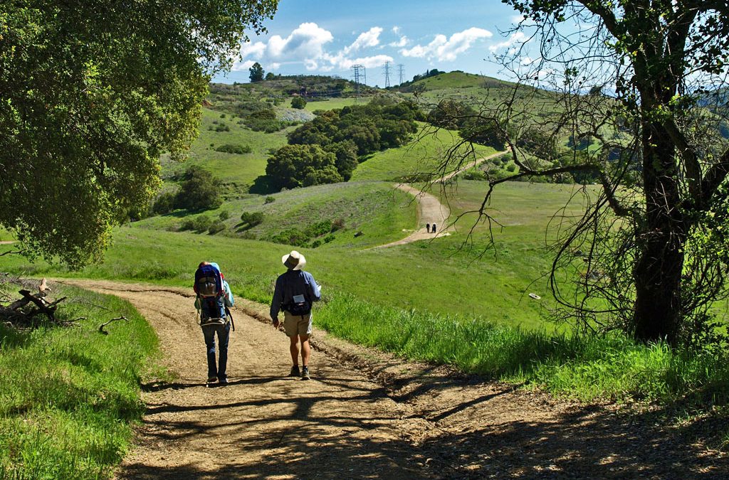 Trailblazing Through Time: The Wonders of Almaden Quicksilver County Park in San Jose, California