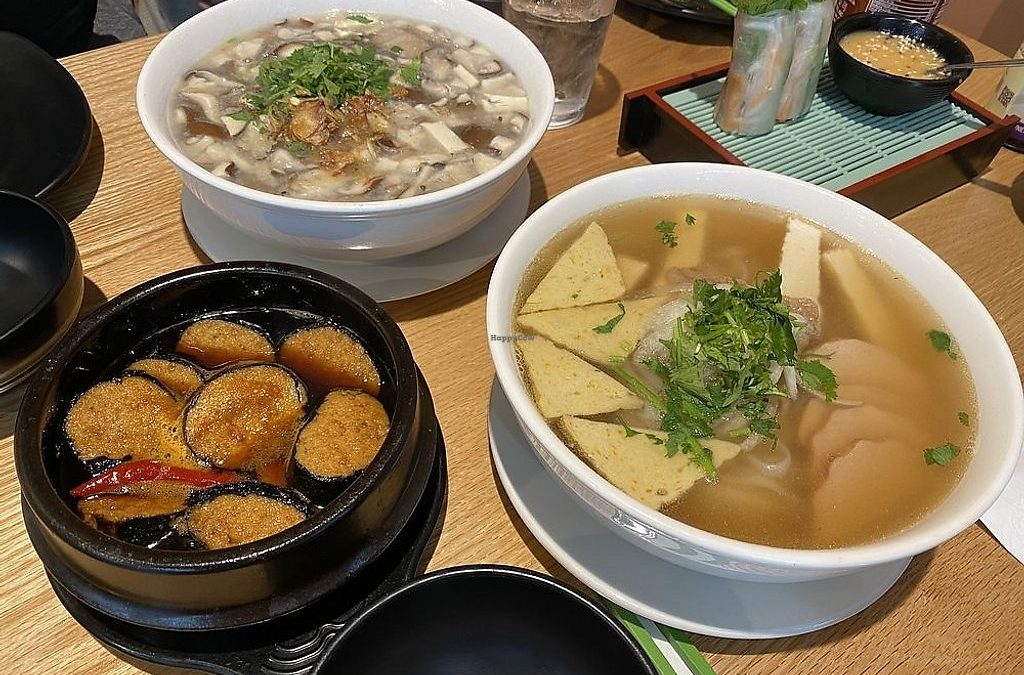 Plant-Powered Plates: Discovering the Flavorful World of Green Lotus Restaurant