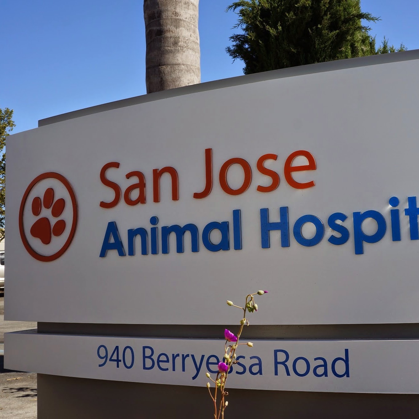 Animal Hospital in San Jose, California