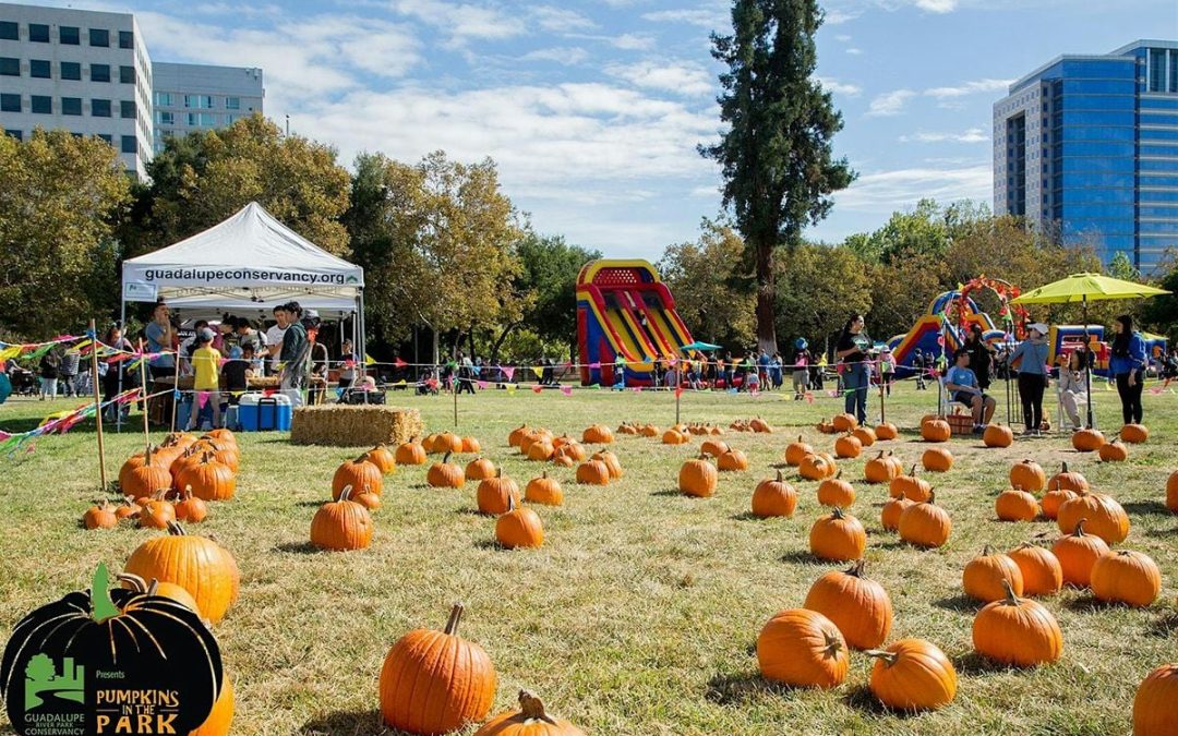 Pumpkin Patch and Petting Zoo: Fall Festival 2024 in San Jose